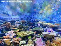 名古屋港水族館：当館より地下鉄2駅・お車で5分！ライブコーラル水槽では美しい生体サンゴが見られます。