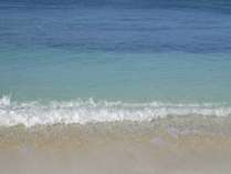 宮古ブルーの海にはトロピカル・フィッシュがいっぱい！