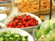 地元の農家から届く新鮮野菜を、サラダでお召し上がりください。