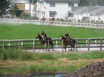 ファミリ－ロッジから見る競走馬の調教風景
