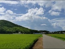 施設周辺の風景