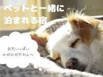 ワンちゃん、ニャンちゃん大歓迎！国東でのびのびとお散歩してください。その他ご家族もご相談ください