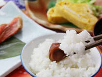 【朝食一例】山形のブランド米はえぬきとうんめぇ梅干しでご飯が進むべ！
