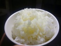 福島県産コシヒカリ。　「ご飯が美味しい！甘い！」と好評いただいております。　