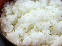 #米どころ新潟ならでは。朝食は炊きたての白米がおかわり自由です