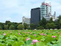 夏にはお部屋（レイク＆シティ部ビュー）から蓮の花のご鑑賞が可能です 写真