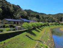 当館真裏の河川敷は新緑と真っ青な青空な景色が一番のおすすめです。