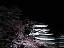 【夜景】春の夜桜