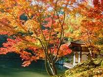 秋の風景『和歌山城・紅葉渓庭園』。