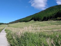 230901撮影すすき草原