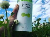 栽培から醸造までを一貫して仕込んだ「TSUKUBA　BLANC」