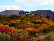 須川温泉　栗駒山荘