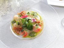 ◆料理一例｜早川漁港より鮮魚のカルパッチョ