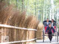 嵐山観光では外せない「竹林の小径」や嵯峨野ののどかな「落柿舎」遊覧をお愉しみください。