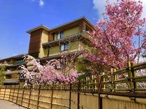 【外観・春】敷地内でも桜がお楽しみいただけます。