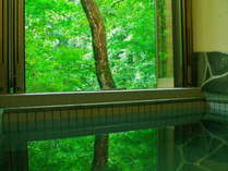 自然の風を感じながら森林浴できる開閉式露天風呂