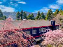 【外観】豊かな自然に囲まれて華やかな春を満喫　言わずと知れた箱根桜の名所が今ここに