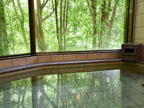 日本三美人の湯「龍神温泉」★良質な温泉でお肌がスベスベに♪