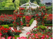 【ローズガーデン】年に2回、春と秋に3万輪もの薔薇が赤く咲き誇る景色は圧巻の美しさです
