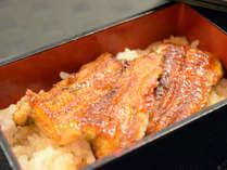 季節御膳光彩のミニ鰻丼