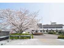 当館正面の桜と本館になります。春は正面と敷地内の桜が綺麗で写真を撮られる方が多いところになります。