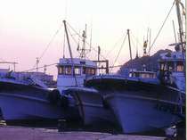 篠島の漁船！漁港がすぐ近くにあるので、とれたての海の幸が味わえます！！