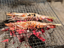 ・海老塩焼き　プリプリの旨味溢れる有頭海老を塩焼きでどうぞ