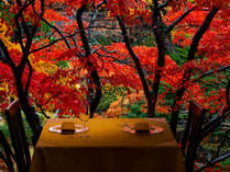 【函館銀座軒】美しい紅葉を愛で、心癒されるひとときを。（例年10月中旬～11月中旬が見頃）