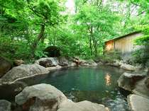 「長閑の湯」男性露天風呂まわりは自然の落葉樹に覆われており　マイナスイオンたっぷり