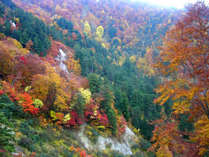 *【周辺】美しい秋の風景をお楽しみ下さい。
