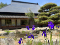 季節によって移り変わる、草木花に囲まれた田舎の一軒宿です。ゆったりとした時間の中で、非日常体験を…