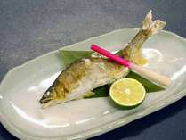 *【お料理一例】栃木県産、鮎の塩焼き。時期によっては珍しい、子持ち鮎をお出しする事も！