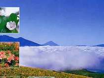 霧ヶ峰は関東の「富士見100景」：ビーナスラインから望む
