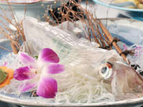 【夕食一例】言わずと知れた呼子の名物、「イカの活造り」コリコリの食感は新鮮だからこそ。