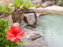 緑に囲まれた源泉かけ流しの開放的な露天風呂をお楽しみください。 写真