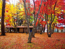 【秋の香雪園】紅葉の名所として知られる香雪園は当館より車で約10分。