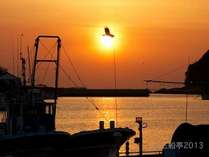 漁港から見る夕日。鳥も気持ちよさそうです