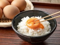 奈良県吉野郡の養鶏場直送　美味しい卵かけご飯