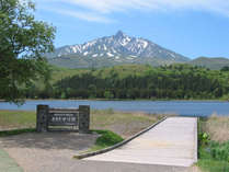 周囲１ｋｍの小さな沼がオタトマリ沼。運が良ければ湖に利尻山の逆さ富士を見ることができます。