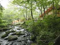 川のコテージは渓流“小阿寺沢”沿いにあります。