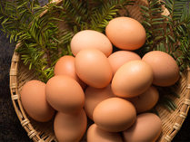 地元の契約農家から直接仕入れた「平飼い卵」が食べ放題♪