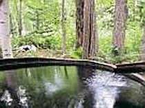 森の中で森林浴と温泉露天風呂「美想の湯」：貸切対応