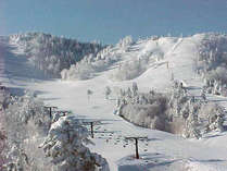 *【冬】熊の湯スキー場徒歩3分！ゴールデンウィーク頃まで滑れます。