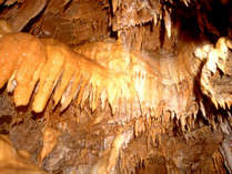 大自然の神秘。東海地方最大級の鍾乳洞「竜ヶ岩洞」