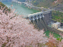 【周辺】鹿野川：春の鹿野川ダム