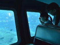 【服を着たまま水中散歩】半潜水式の水中観光船「シースカイ」チケット付/朝食付