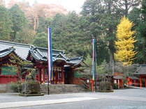 *箱根神社はパワースポットとして人気です！