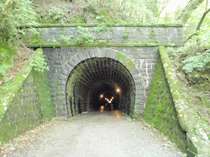 旧天城トンネル、ハイキングには最適です！