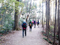 九重連山へのトレッキングの拠点はぜひ当宿へ！