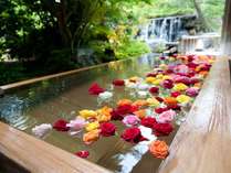 ・露天風呂に約200輪のバラが浮かぶ「ばら妃の湯」は、女性限定特典　15時～21時